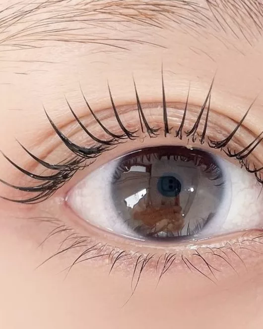 Upper Eyelash Perm with Lash Tint & Quick Head Massage + Mink Style souvenir